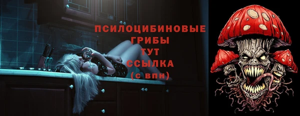 прущая мука Арсеньев