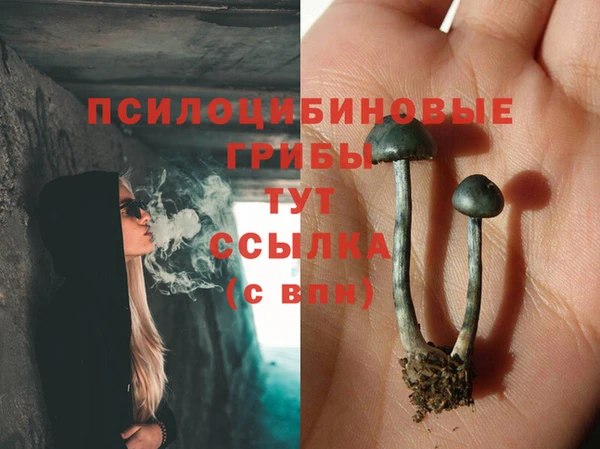 прущая мука Арсеньев