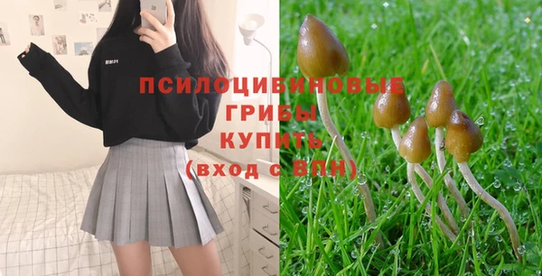 крисы Армянск