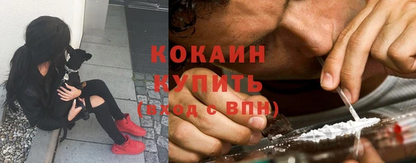 крисы Армянск